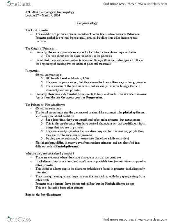 ANT203H5 Lecture Notes - Brachiation, Quadrupedalism, Orangutan thumbnail