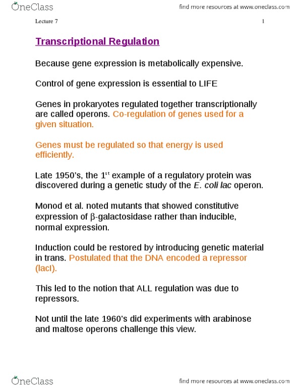 MICRB316 Lecture Notes - Lecture 7: Lac Operon, Leucine Zipper, Cyclic Adenosine Monophosphate thumbnail