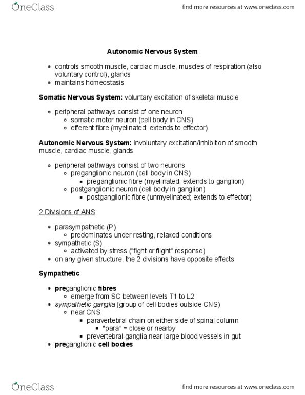 BIOL 171 Lecture Notes - Lecture 13: Prevertebral Ganglia, Pelvic Splanchnic Nerves, Postganglionic Nerve Fibers thumbnail