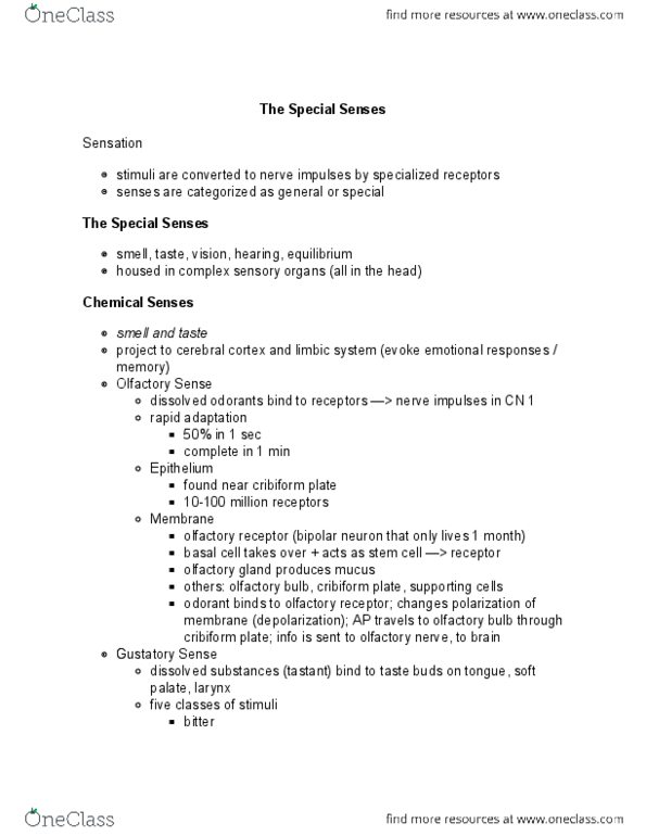 BIOL 171 Lecture Notes - Lecture 14: Cribriform Plate, Uvea, Olfactory Bulb thumbnail