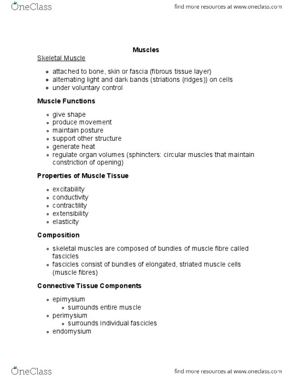 BIOL 171 Lecture Notes - Lecture 7: T-Tubule, Myocyte, Endoplasmic Reticulum thumbnail