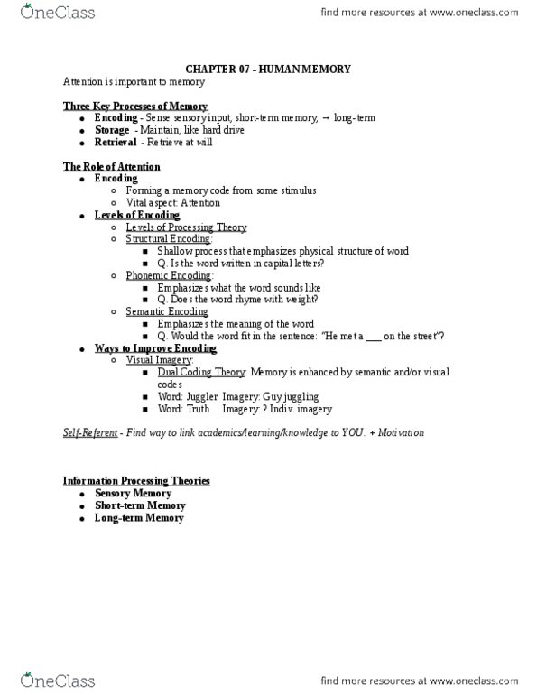 CAS PS 101 Lecture Notes - Lecture 10: Sensory Memory, Coding Theory, Amnesia thumbnail