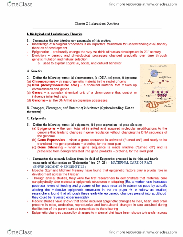 PSYC 208 Chapter Notes - Chapter 2: Gene Silencing, Epigenome, Ethology thumbnail