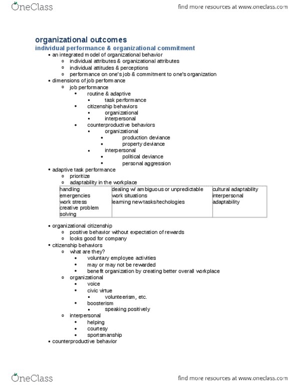 MGT 243 Lecture Notes - Goldbricking, Job Performance, Boosterism thumbnail