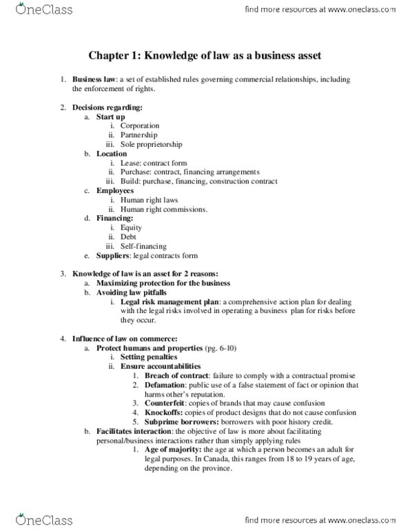 ADM3123 Chapter 1: Chapter 1.docx thumbnail