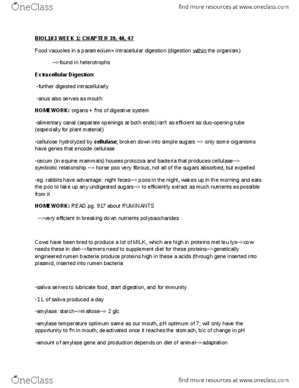 BIOL 103 Chapter Notes -Gastrointestinal Tract, Cellulase, Rumen thumbnail