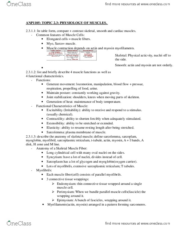 ANP 1105 Chapter Notes -Myofibril, Endomysium, Glycolysis thumbnail