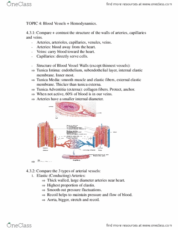 ANP 1105 Chapter Notes -Aldosterone, Hypotension, Pituitary Gland thumbnail