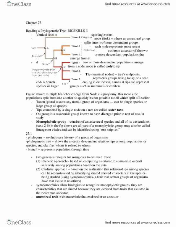 BIO153H5 Chapter 27: Chapter 27 - BIO textbook summary.docx thumbnail