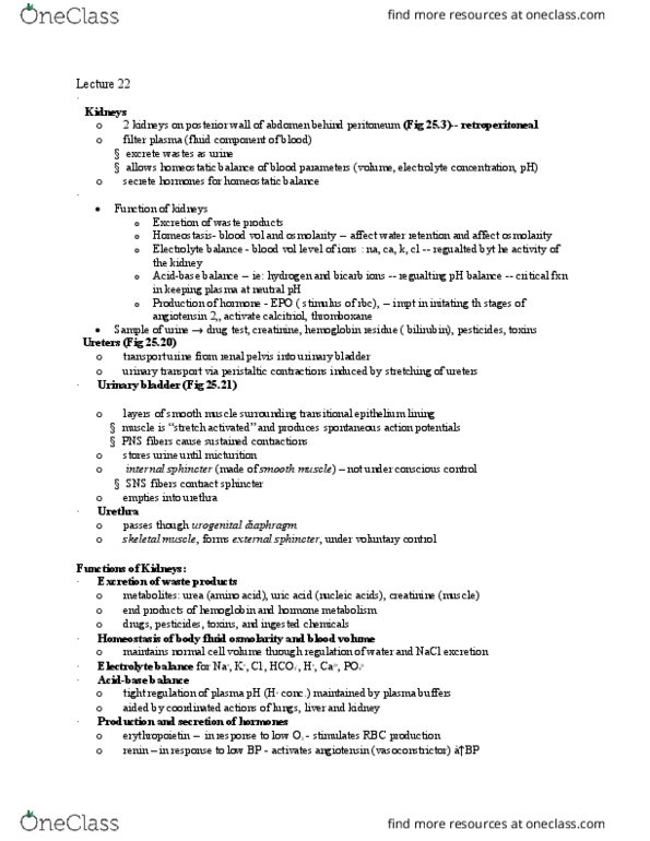 BLG 10A/B Lecture Notes - Lecture 22: Urinary Bladder, Urogenital Diaphragm, Ph thumbnail