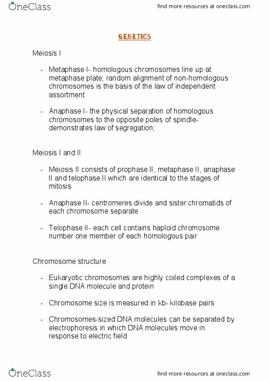 300845 Lecture Notes - Lecture 7: Sister Chromatids, Electric Field, Base Pair thumbnail