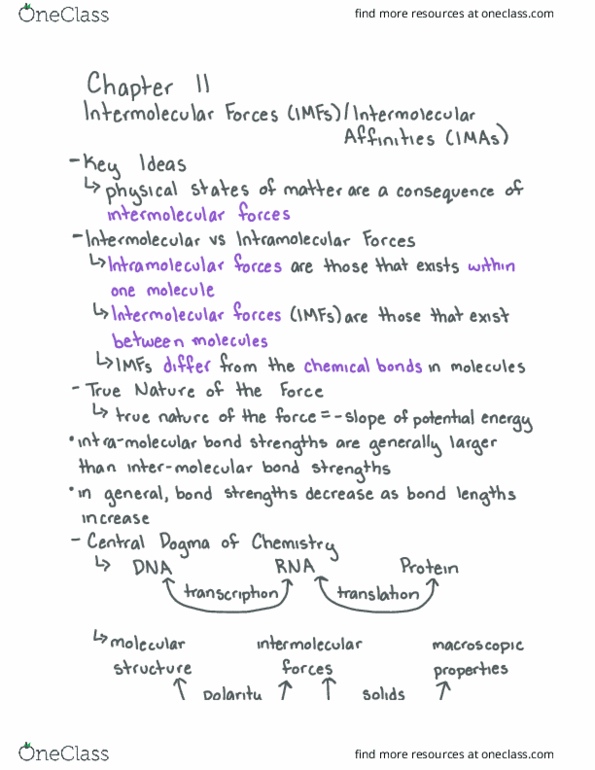 CHEM 112 Chapter Notes - Chapter 11: Intermolecular Force, Imes, Vapor Pressure thumbnail