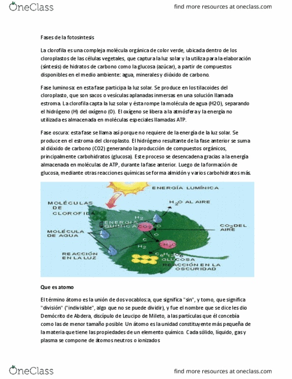 Engl 322 Study Guide Spring 2019 Quiz El Nombre Llama