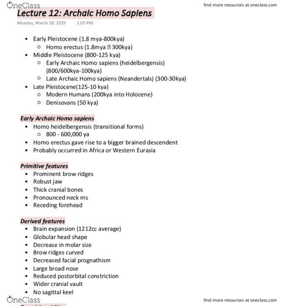 ANT101H5 Lecture Notes - Lecture 12: Homo Heidelbergensis, Homo Sapiens, Homo Erectus thumbnail