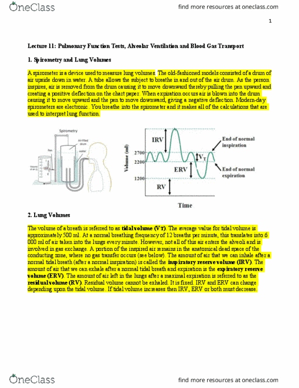 BIOC34H3 Lecture Notes - Lecture 11: Pulmonary Function Testing, Spirometer, Lung Volumes thumbnail