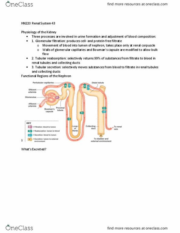 document preview image