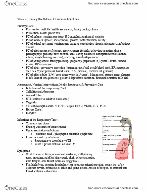 Nursing 4440A/B Lecture Notes - Lecture 7: Fecal Occult Blood, Lower Respiratory Tract Infection, Venereal Disease Research Laboratory Test thumbnail