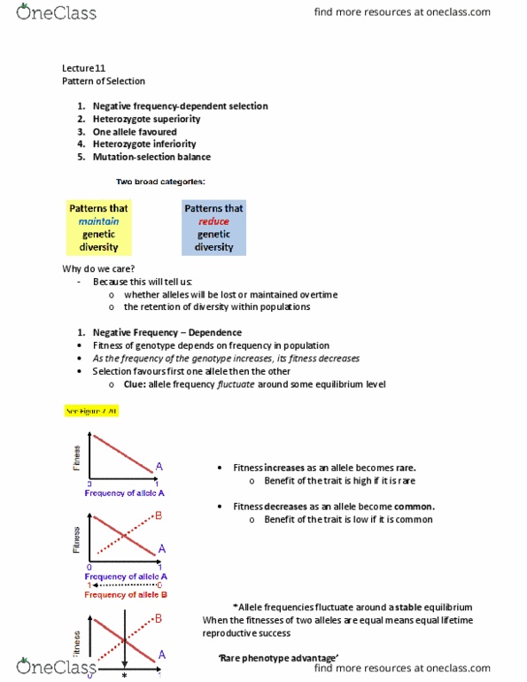 BIOB51H3 Lecture Notes - Lecture 11: Frequency-Dependent Selection, Allele Frequency, Negative Frequency thumbnail
