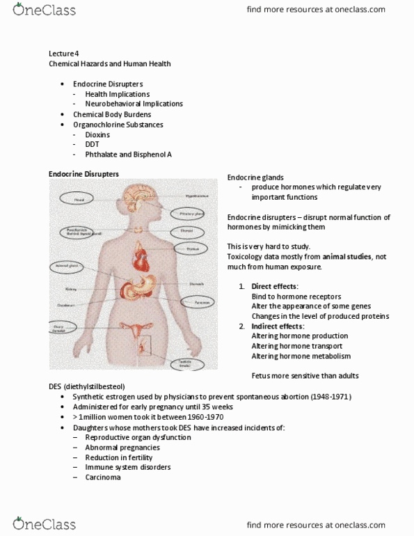 EESA10H3 Lecture Notes - Lecture 4: Endocrine Disruptor, Miscarriage, Bisphenol A thumbnail