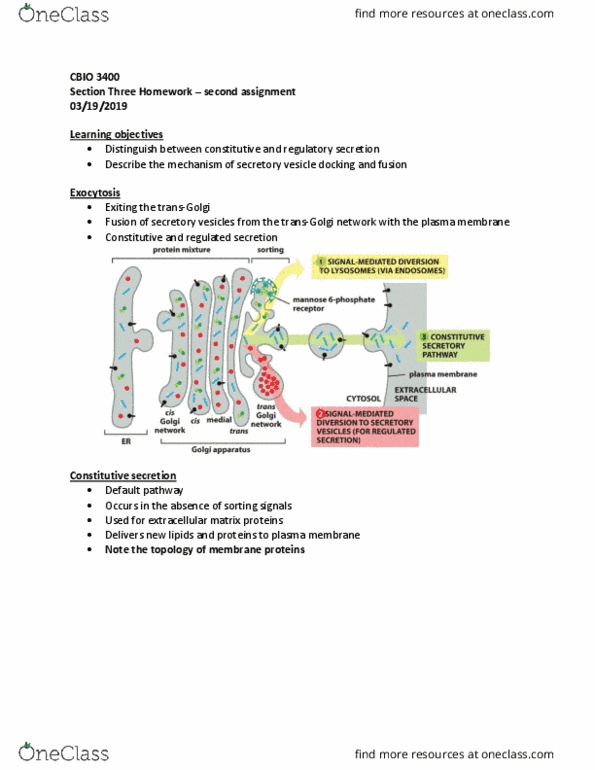 CBIO 3400 Lecture Notes - Lecture 10: Secretion, Cell Membrane, Exocytosis thumbnail