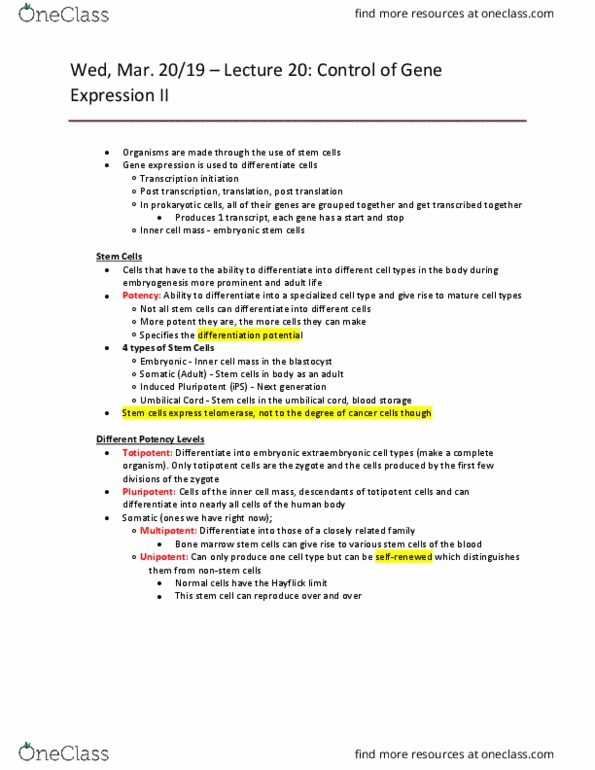 Biology 1202B Lecture Notes - Lecture 20: Inner Cell Mass, Embryonic Stem Cell, Umbilical Cord thumbnail