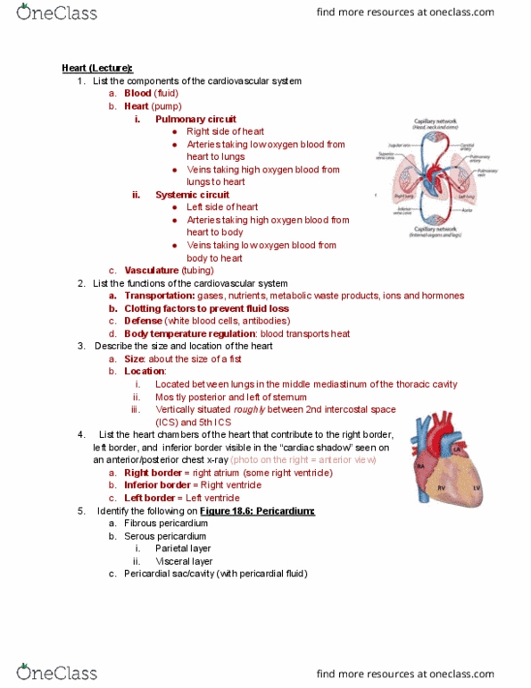 ANTR 350 Lecture Notes - Lecture 1: Pericardial Fluid, Pericardium, Pulmonary Vein thumbnail