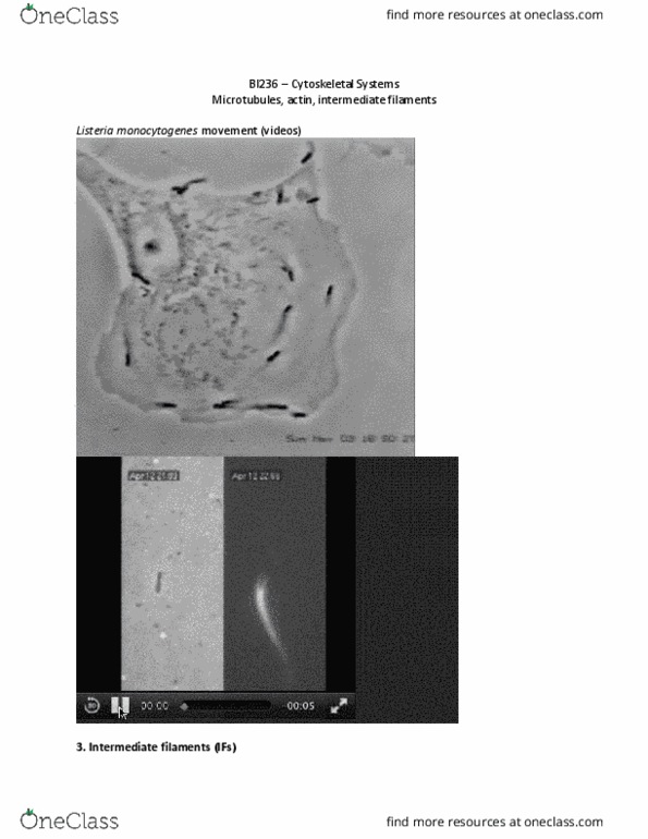 BI236 Lecture Notes - Lecture 33: Listeria Monocytogenes, Intermediate Filament, Cytoskeleton thumbnail