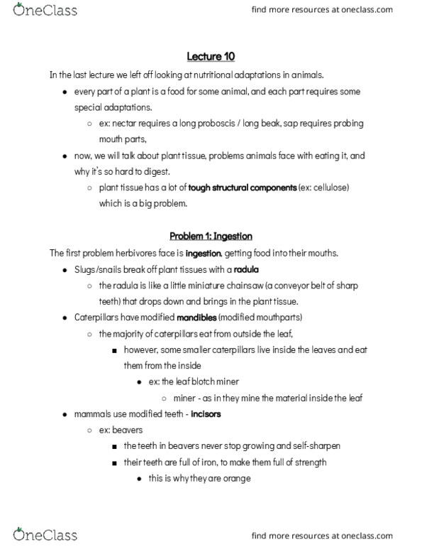 BIOL 1902 Lecture Notes - Lecture 10: Radula, Cecum, Cud thumbnail