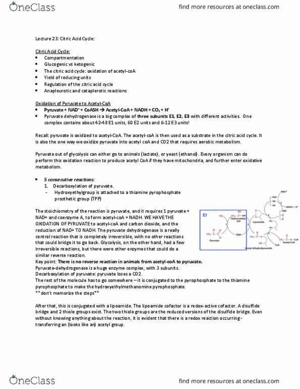 BIOC 2300 Lecture Notes - Lecture 23: Thiamine Pyrophosphate, Pyruvate Dehydrogenase, Acetyl-Coa thumbnail