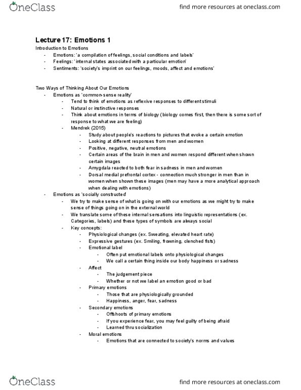 SOCPSY 2YY3 Lecture Notes - Lecture 17: Prefrontal Cortex thumbnail