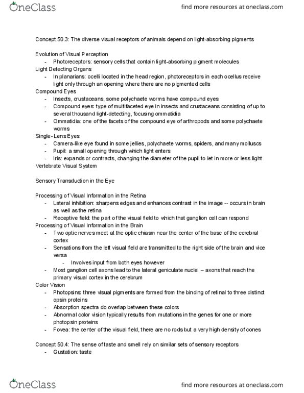 BIO 123 Chapter Notes - Chapter 50: Optic Chiasm, Visual Cortex, Photopsin thumbnail