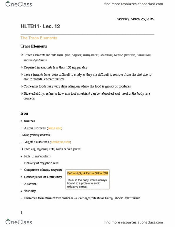 HLTB11H3 Lecture Notes - Lecture 12: Bioavailability, Heme, Hypochromic Anemia thumbnail