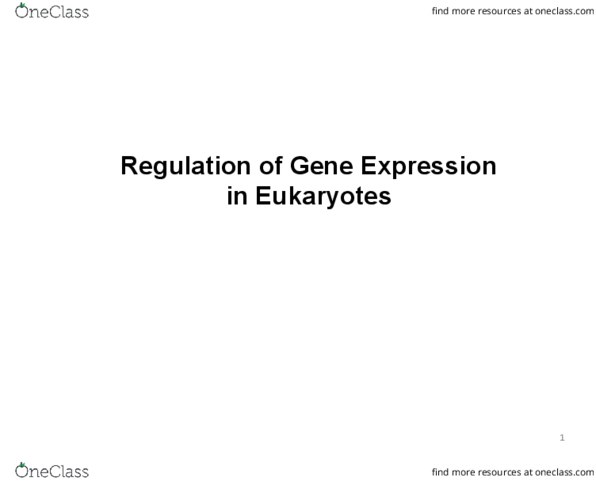 BIO SCI 97 Lecture Notes - Meiosis, Gene Silencing, Repressor thumbnail