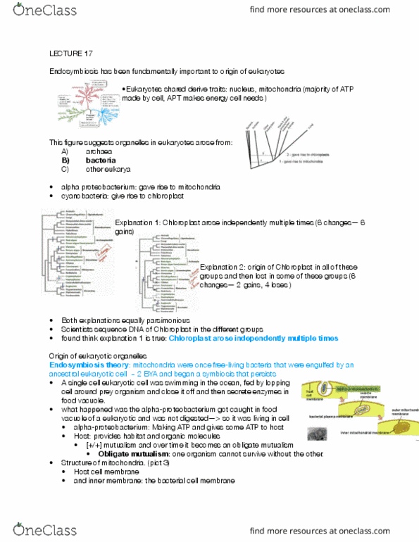 BIOLOGY 171 Lecture Notes - Lecture 17: Alphaproteobacteria, Proteobacteria, Vacuole thumbnail
