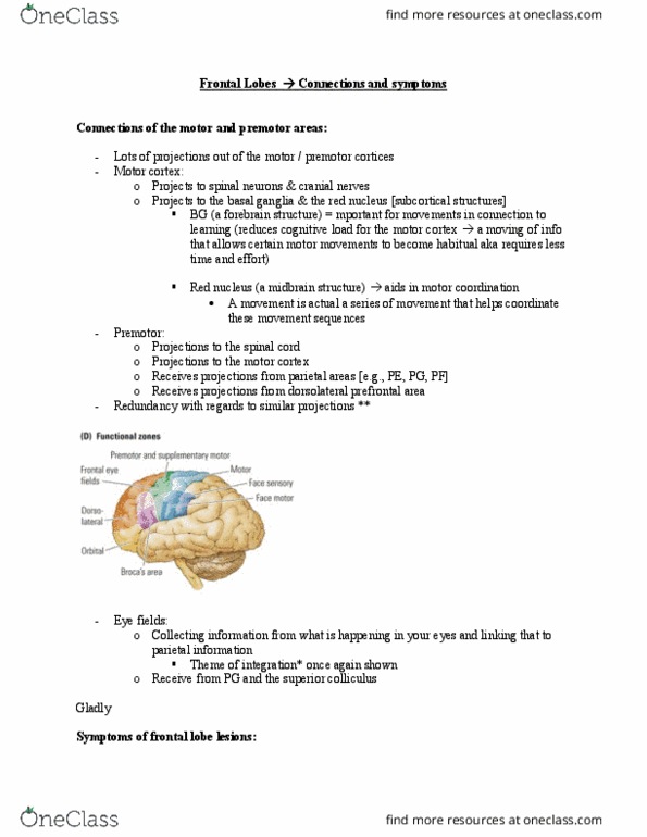 PSYCH 2NF3 Lecture Notes - Lecture 65: Premotor Cortex, Frontal Eye Fields, Superior Colliculus thumbnail