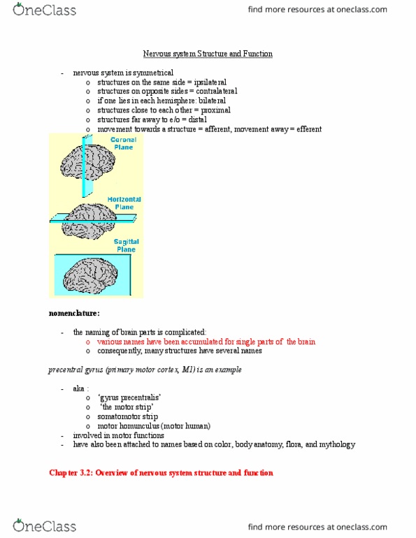 PSYCH 2NF3 Chapter Notes - Chapter 3: Arachnoid Mater, Subarachnoid Space, Surface 3 thumbnail