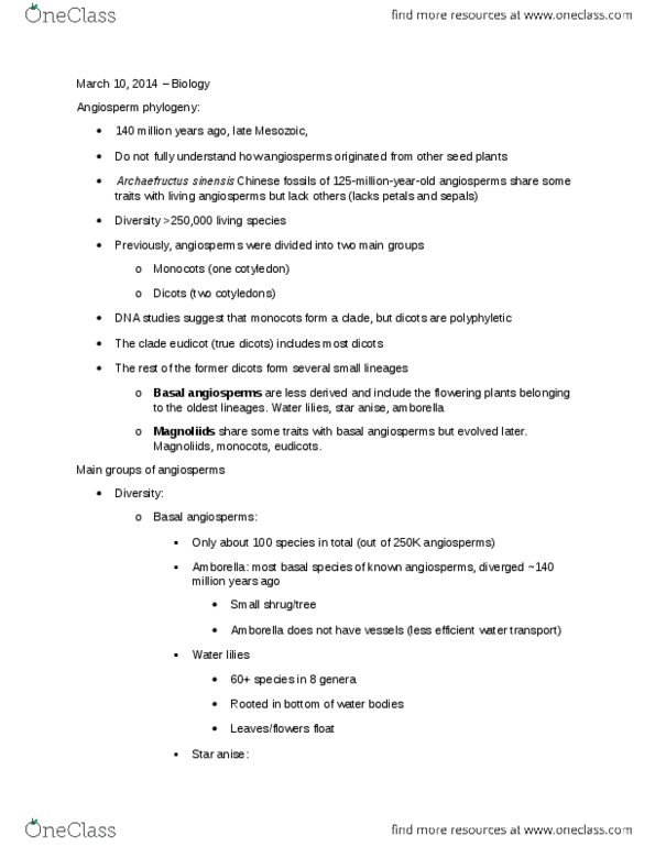 BIOL 1020 Lecture Notes - Archaefructus, Illicium Verum, Basal Angiosperms thumbnail