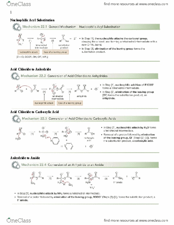 document preview image