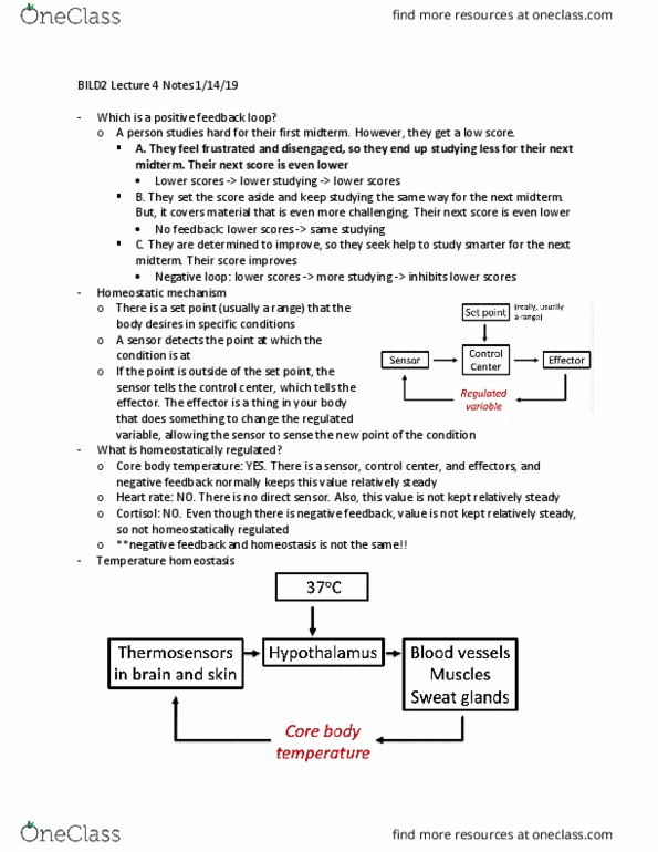 BILD 2 Lecture Notes - Lecture 4: Homeostasis, Cortisol, Heart Rate thumbnail