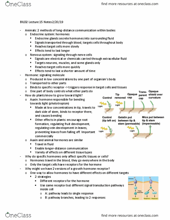 BILD 2 Lecture Notes - Lecture 15: Auxin, Signal Transduction, Extracellular Fluid thumbnail