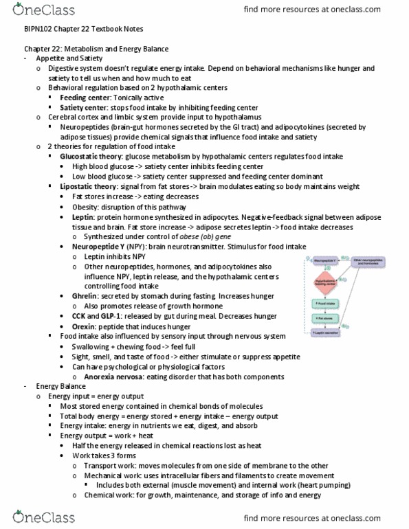 BIPN 102 Chapter Notes - Chapter 22: Anorexia Nervosa, Adipose Tissue, Neuropeptide Y thumbnail