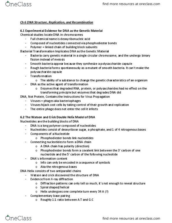 BIOL 3301 Chapter Notes - Chapter 6: The Double Helix, Phosphodiester Bond, Diffraction thumbnail