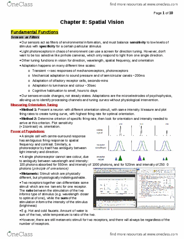 document preview image