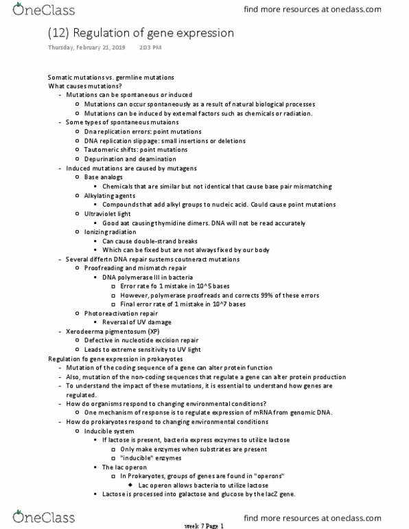 BICD 100 Lecture Notes - Lecture 12: Lac Operon, Gene Expression, Ionizing Radiation thumbnail