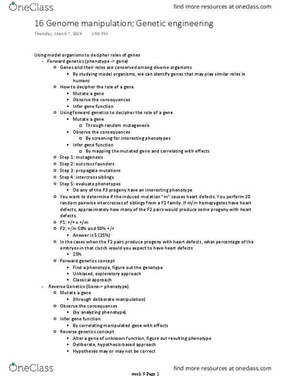 BICD 100 Lecture Notes - Lecture 16: Genetic Engineering, Forward Genetics, Congenital Heart Defect thumbnail