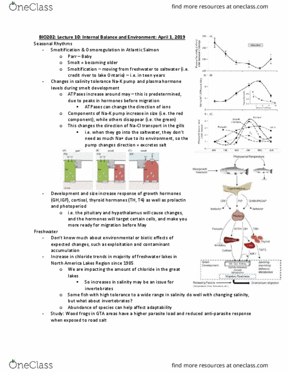 BIO202H5 Lecture Notes - Lecture 10: Wood Frog, Sodium-Potassium Alloy, Osmoregulation thumbnail