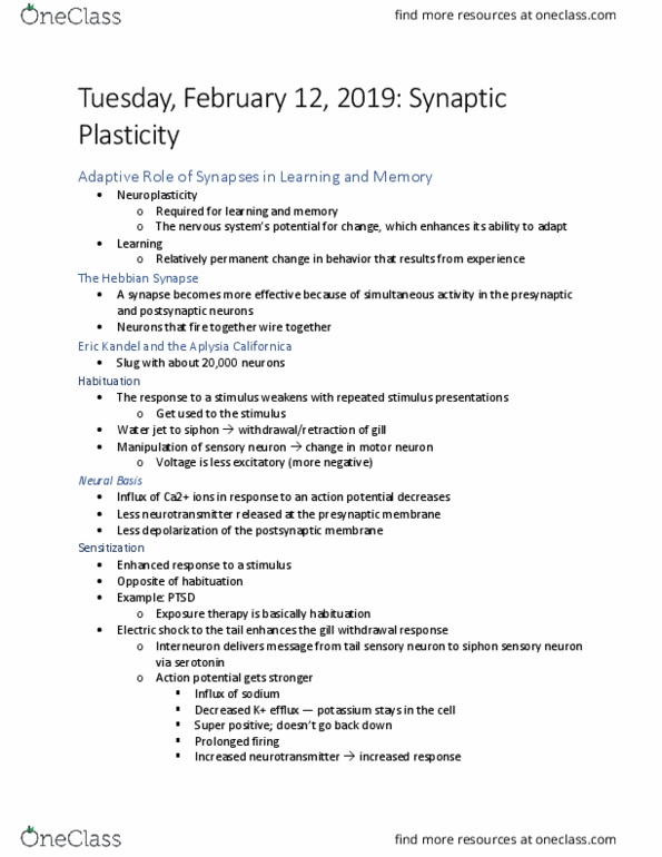 PSYC 3341 Lecture Notes - Lecture 5: Eric Kandel, Sensory Neuron, Motor Neuron thumbnail