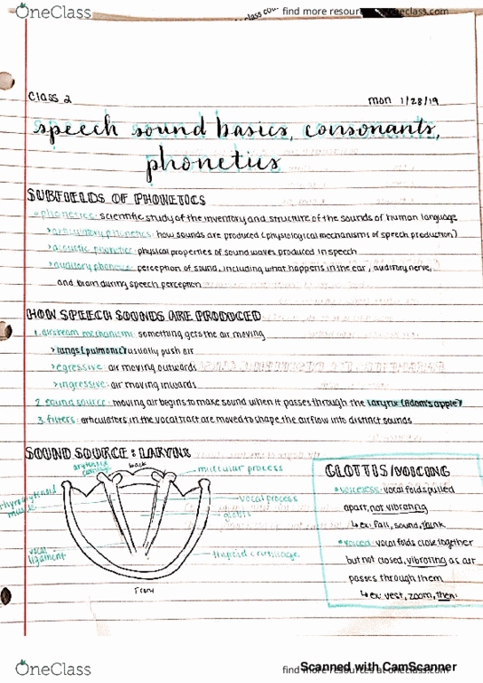 LINGUIS 301 Lecture 2: Speech sound basics, consonants, phonetics thumbnail
