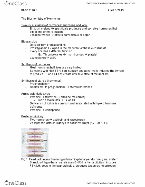 HLSC 2110U Lecture Notes - Lecture 21: Pregnenolone, Posterior Pituitary, Anterior Pituitary thumbnail