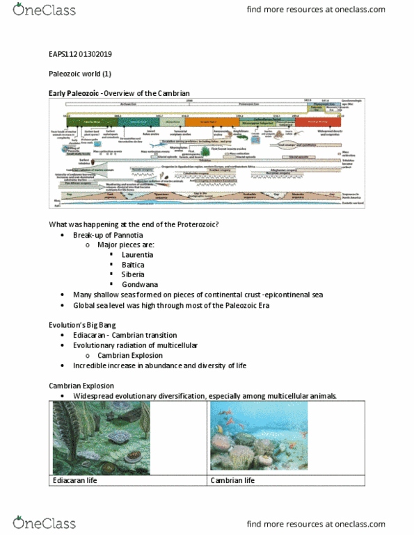 EAPS 11200 Lecture Notes - Lecture 18: Cambrian Explosion, Paleozoic, Pannotia thumbnail